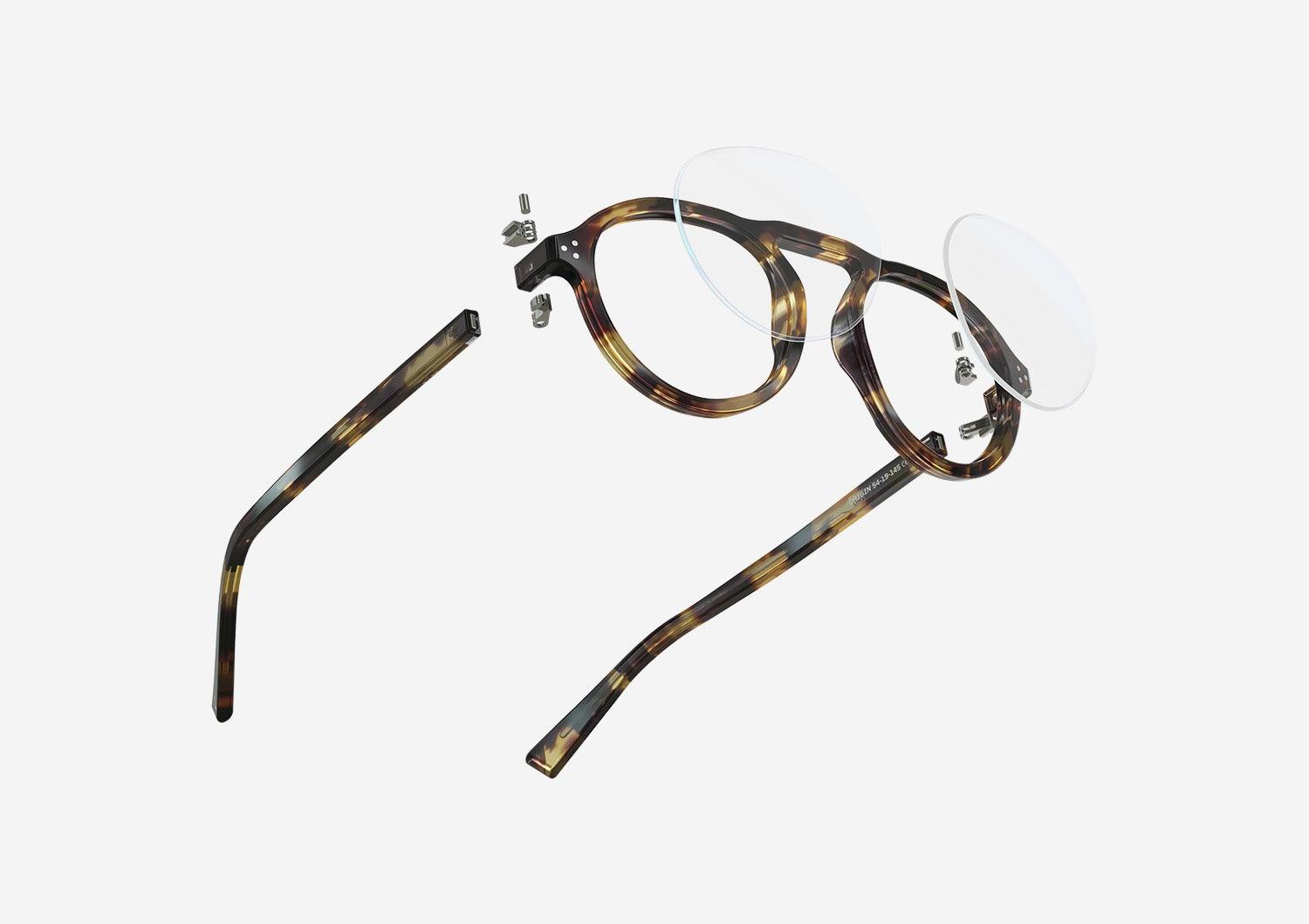 Origin | Tortoise