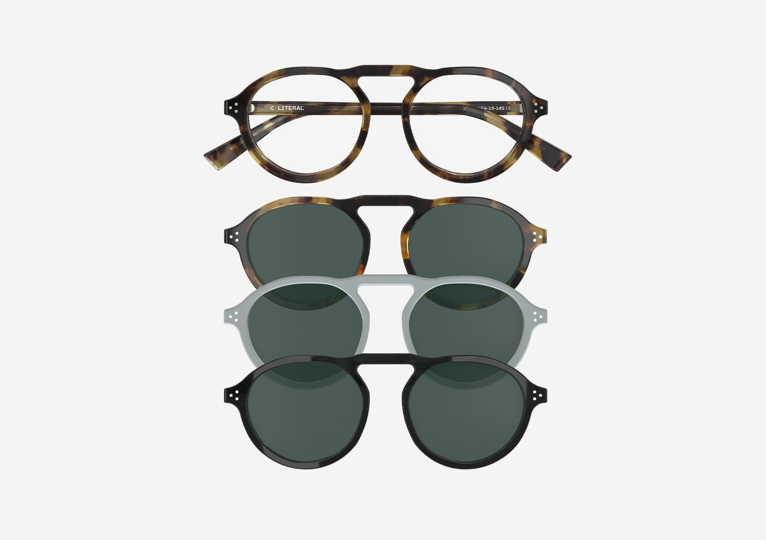 Origin | Tortoise