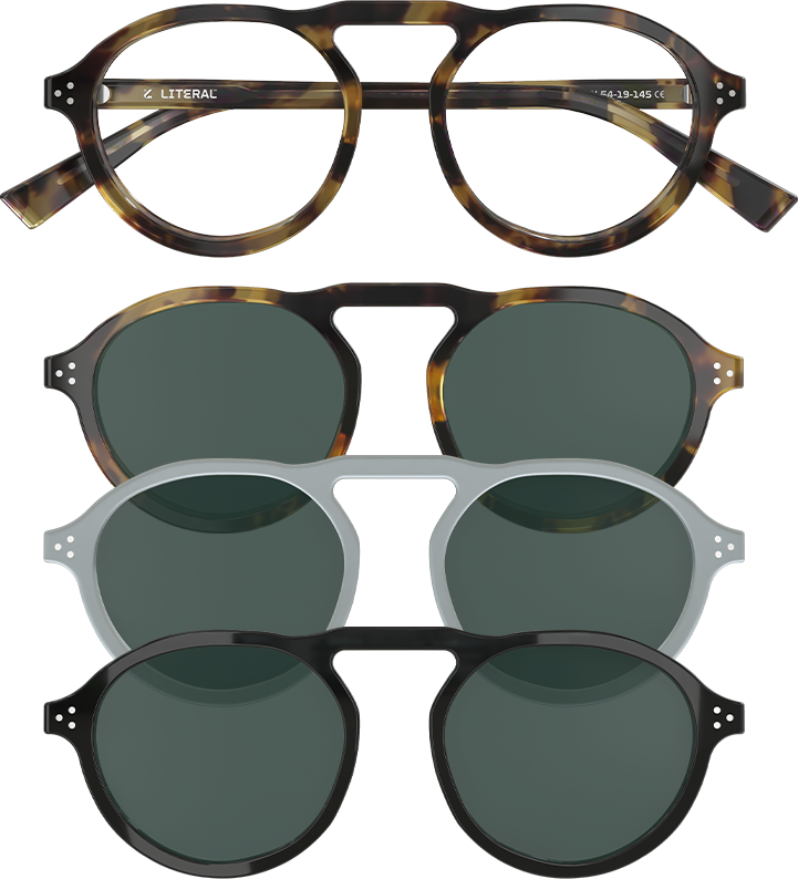 Origin | Tortoise